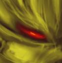 rough_brutaka_eye.jpg