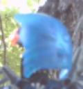 thumbby.jpg