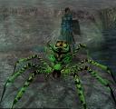 spidercrop.jpg