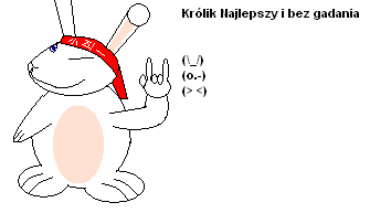 krolik.png