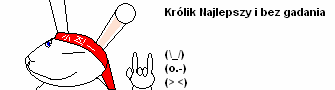 krolik1.png
