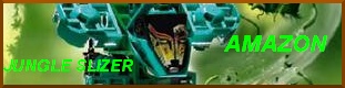 amazon.png