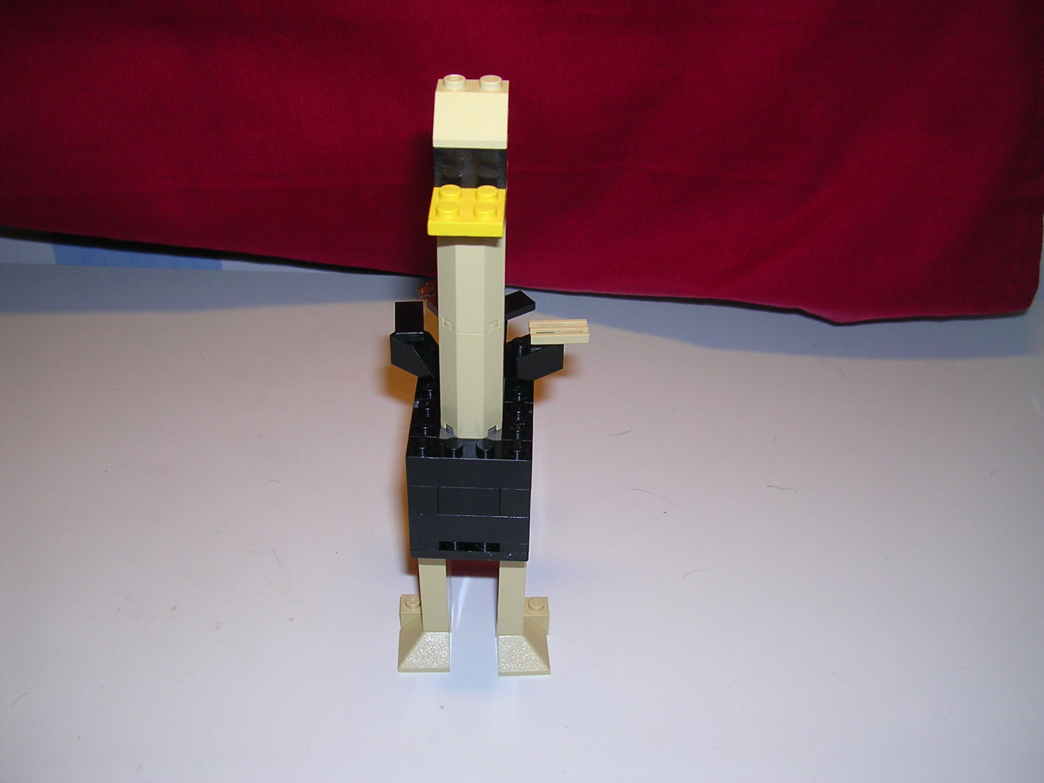 dscn2634.jpg