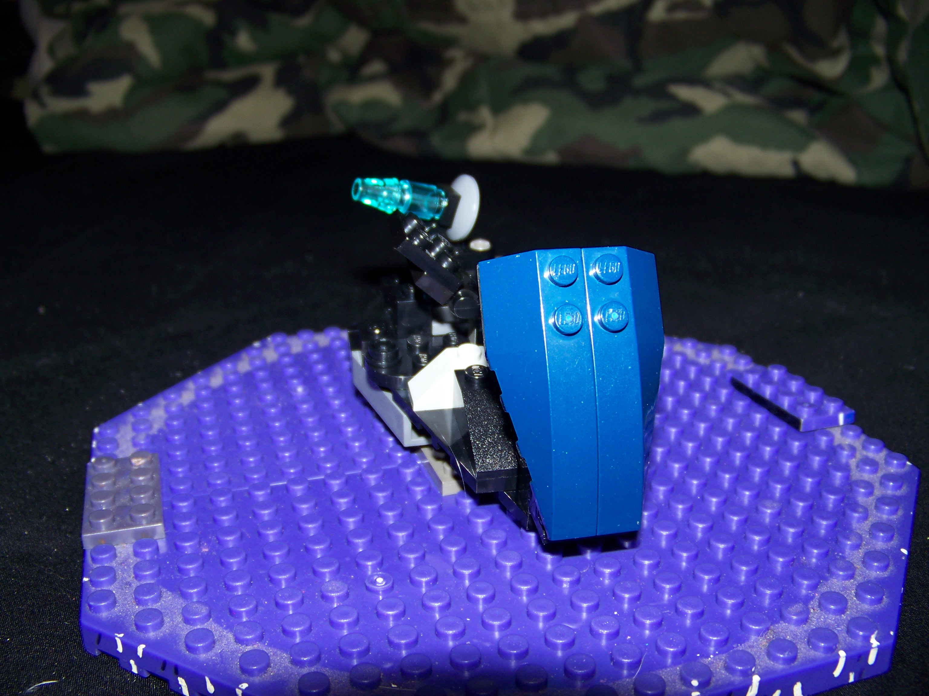100_0663.jpg