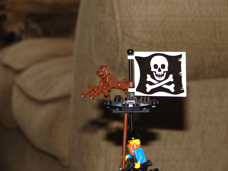 madpirate-042.jpg