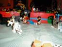 pb160047.jpg