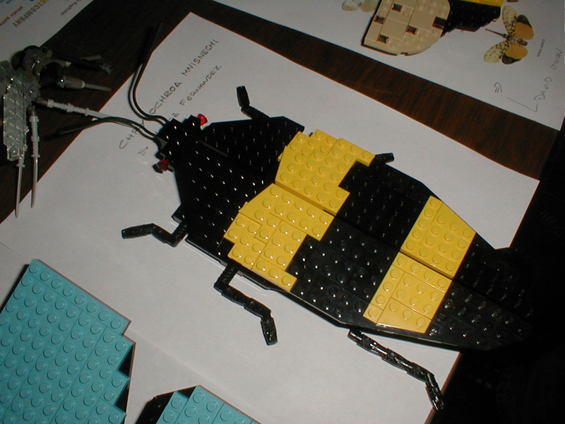 bug_event_36.jpg