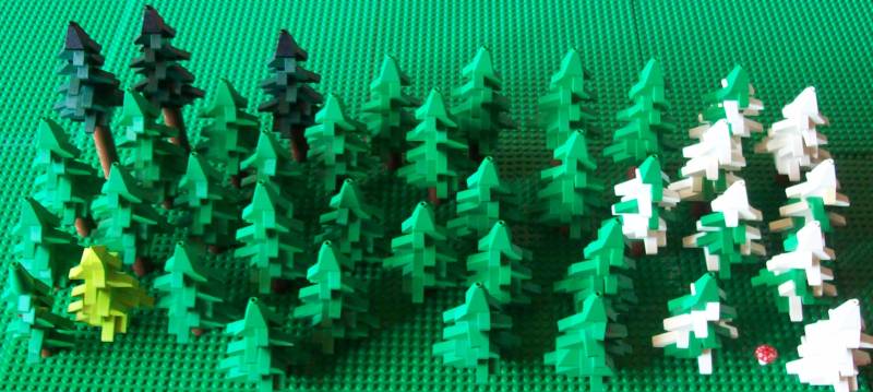 fir_forest_1.jpg