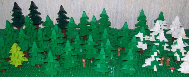 fir_forest_2.jpg