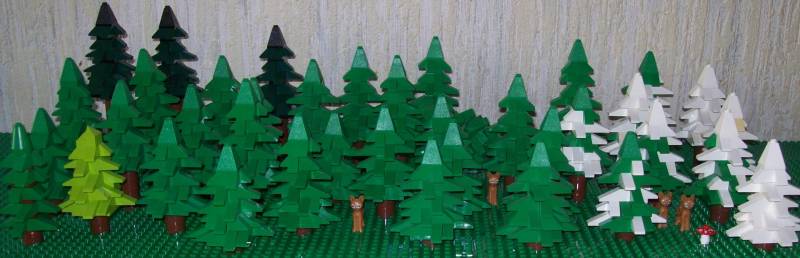 fir_forest_3.jpg