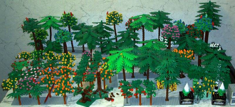 forest.jpg