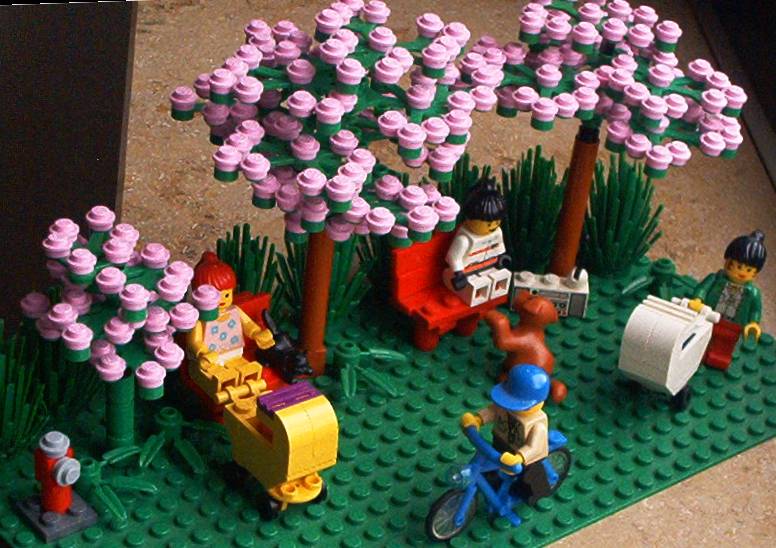 jap-cherry_trees1.jpg