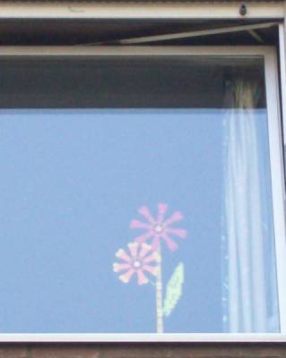 windowflower-10.jpg