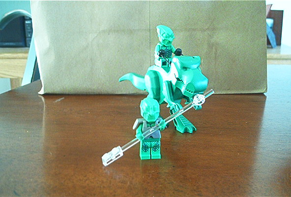 greenwarriors.jpg