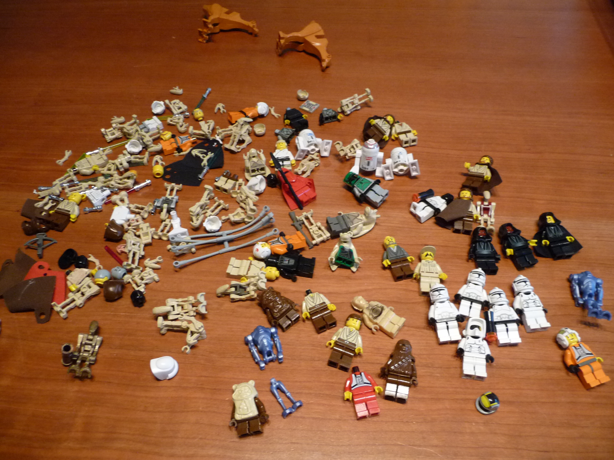 p1000565.jpg