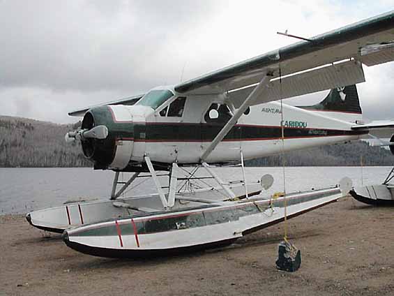 dhc-2_real.jpg