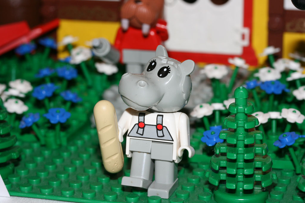 hippo.jpg