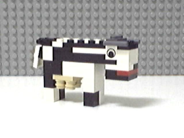cow3.jpg