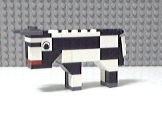 cow4.jpg