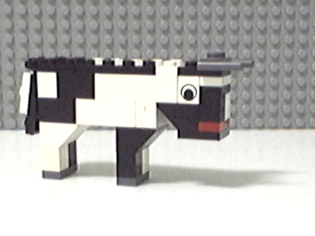 cow5.jpg