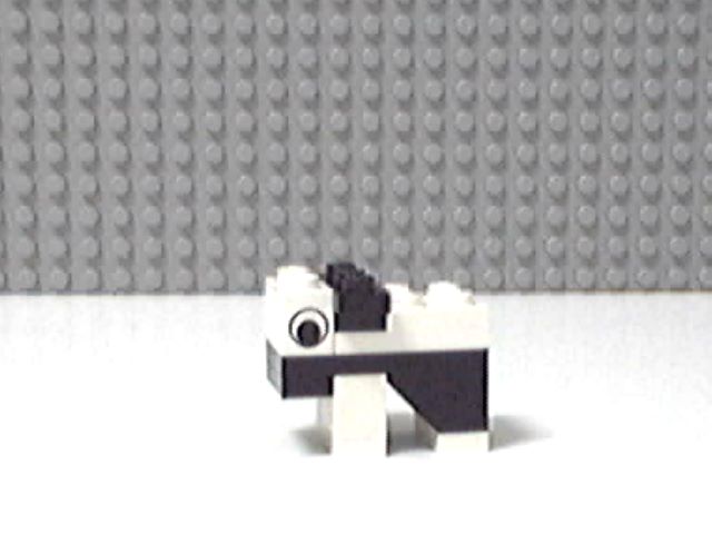 cow7.jpg