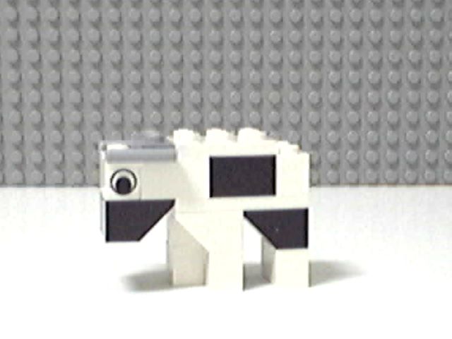 cow8.jpg