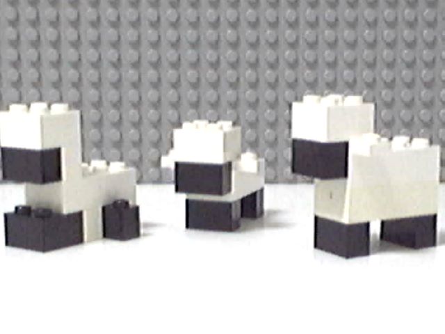 sheep1.jpg
