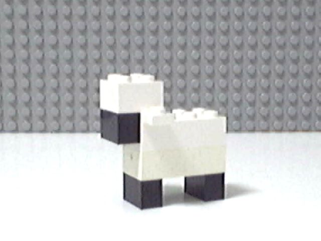 sheep3.jpg