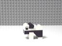 cow7.jpg