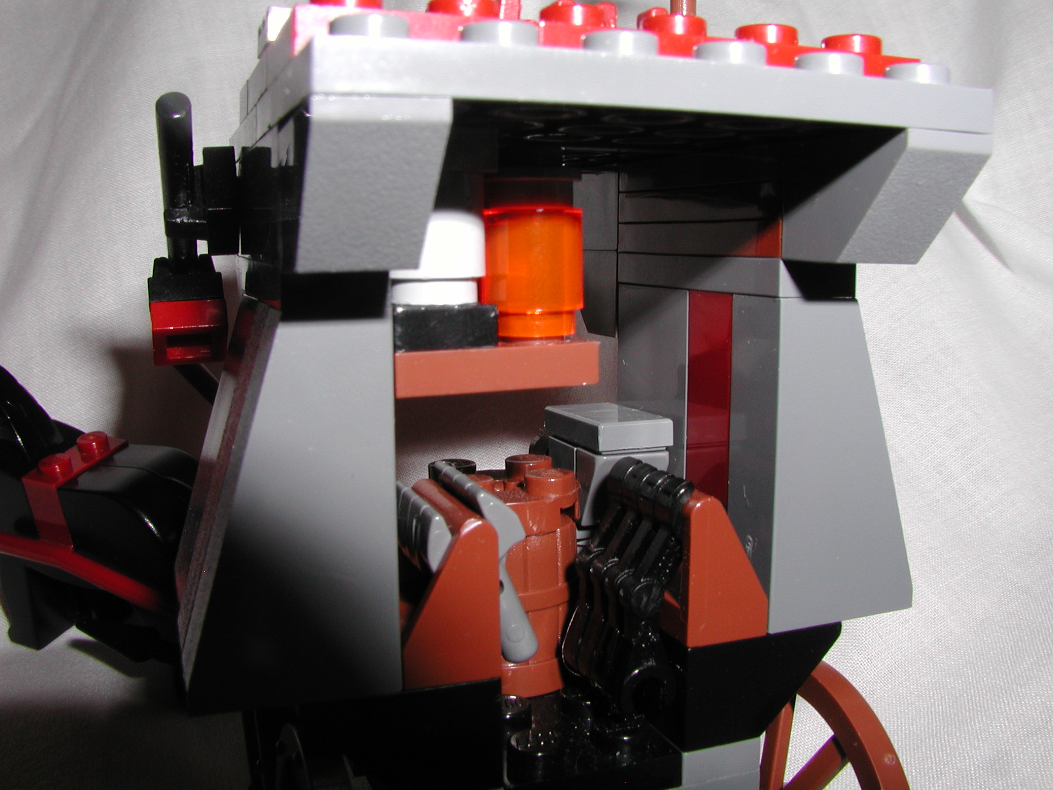 aaaswamp_005.jpg
