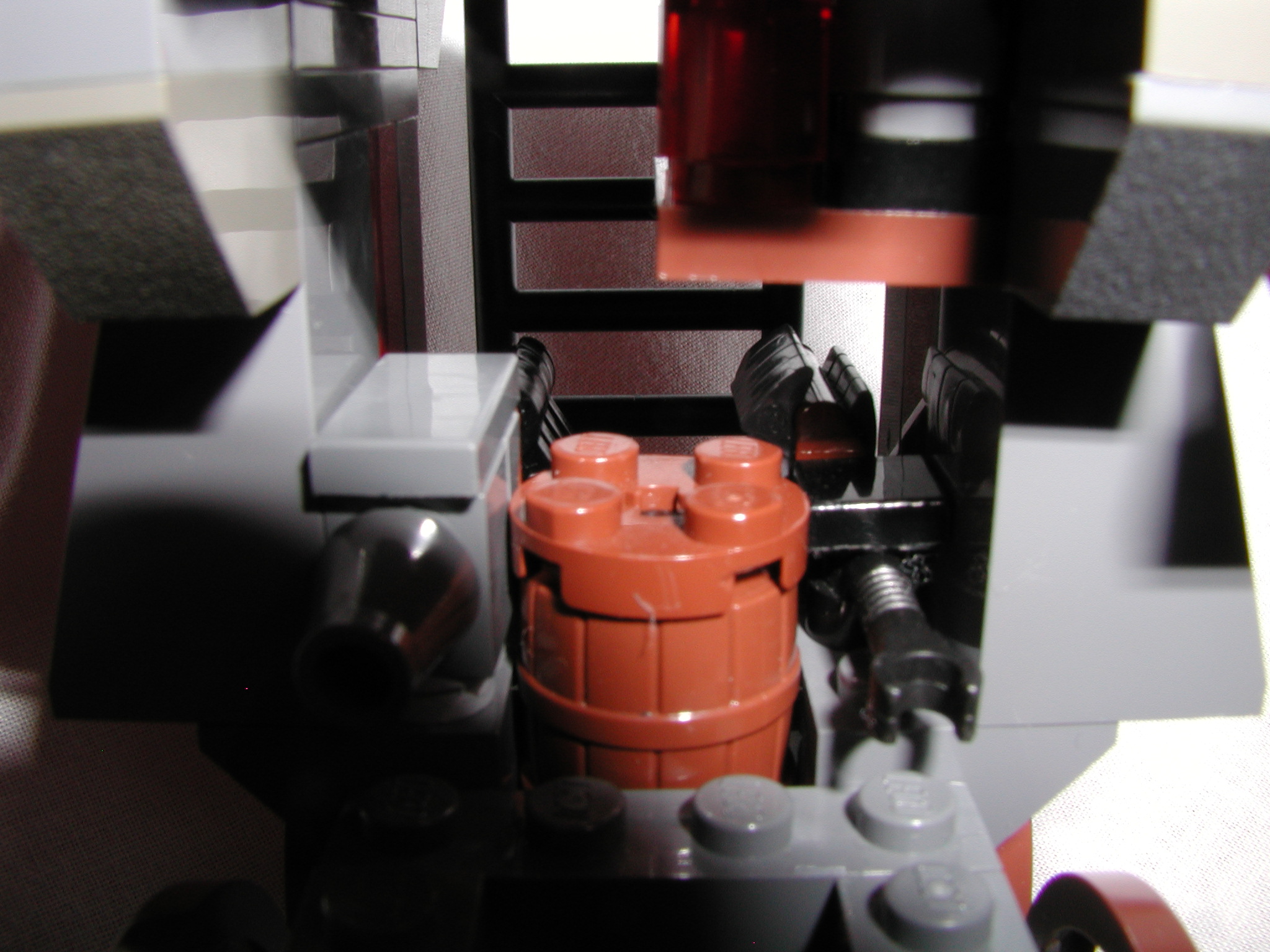 aaaswamp_008.jpg