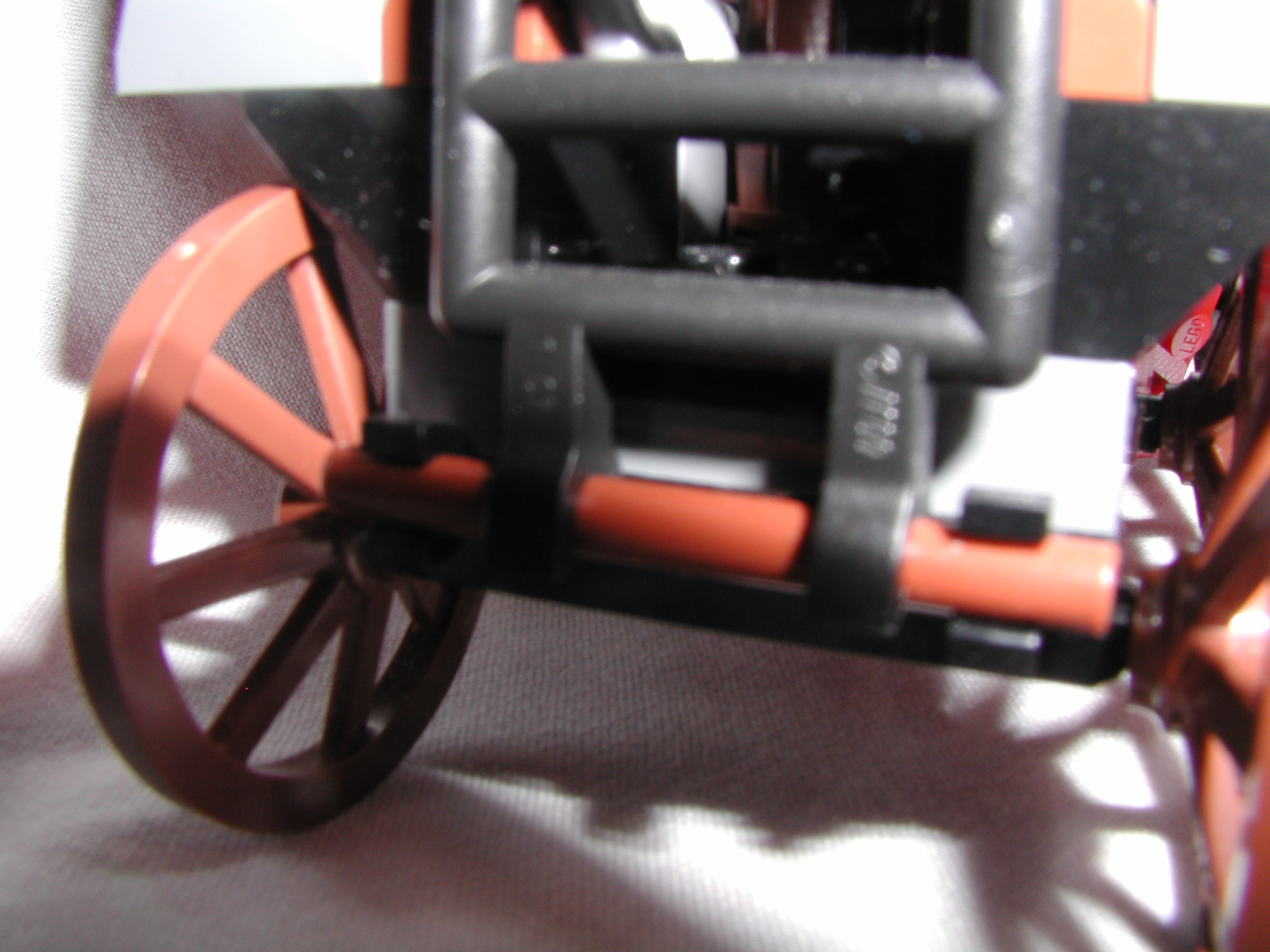 aaaswamp_012.jpg