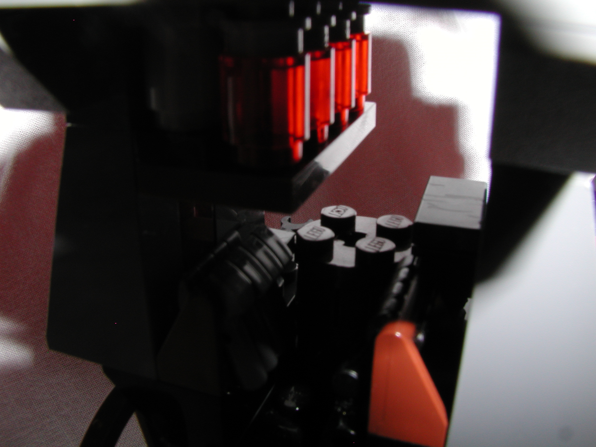 aaaswamp_013.jpg