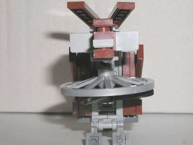 sparrow_004.jpg