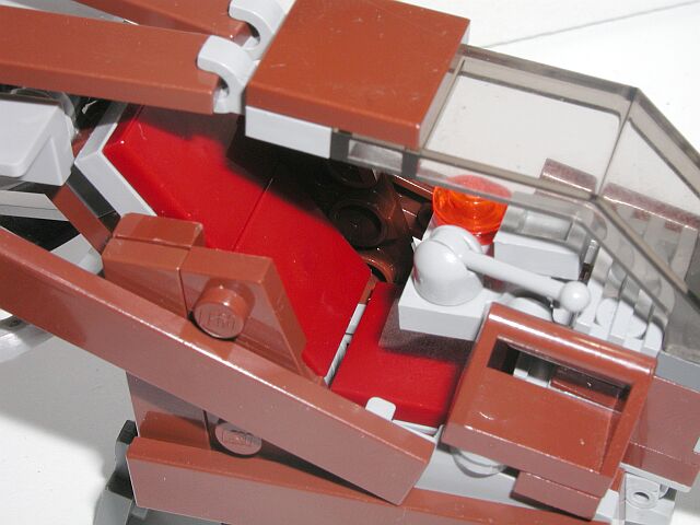 sparrow_008.jpg