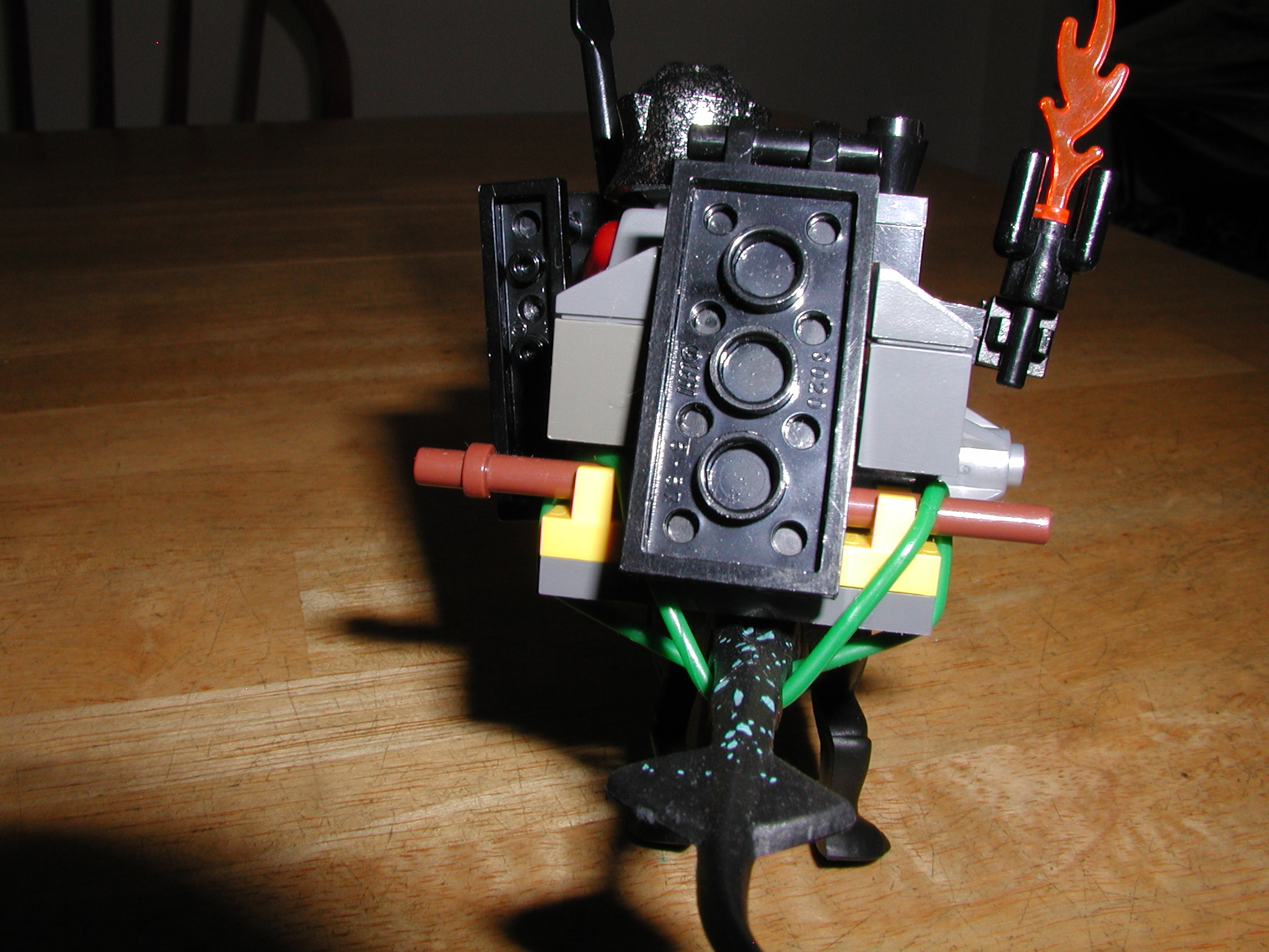 avikingsswamplizard_011.jpg