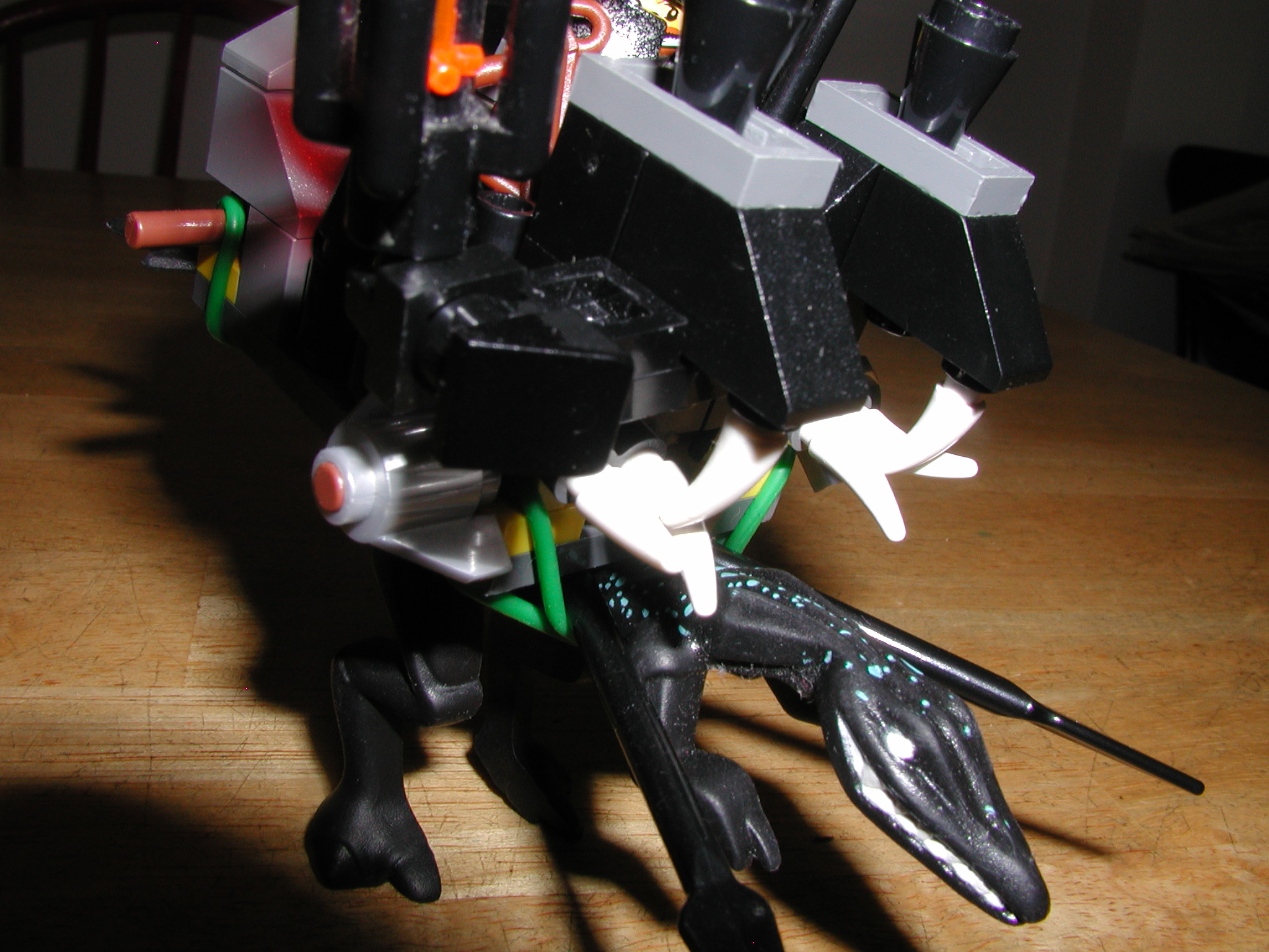 avikingsswamplizard_012.jpg