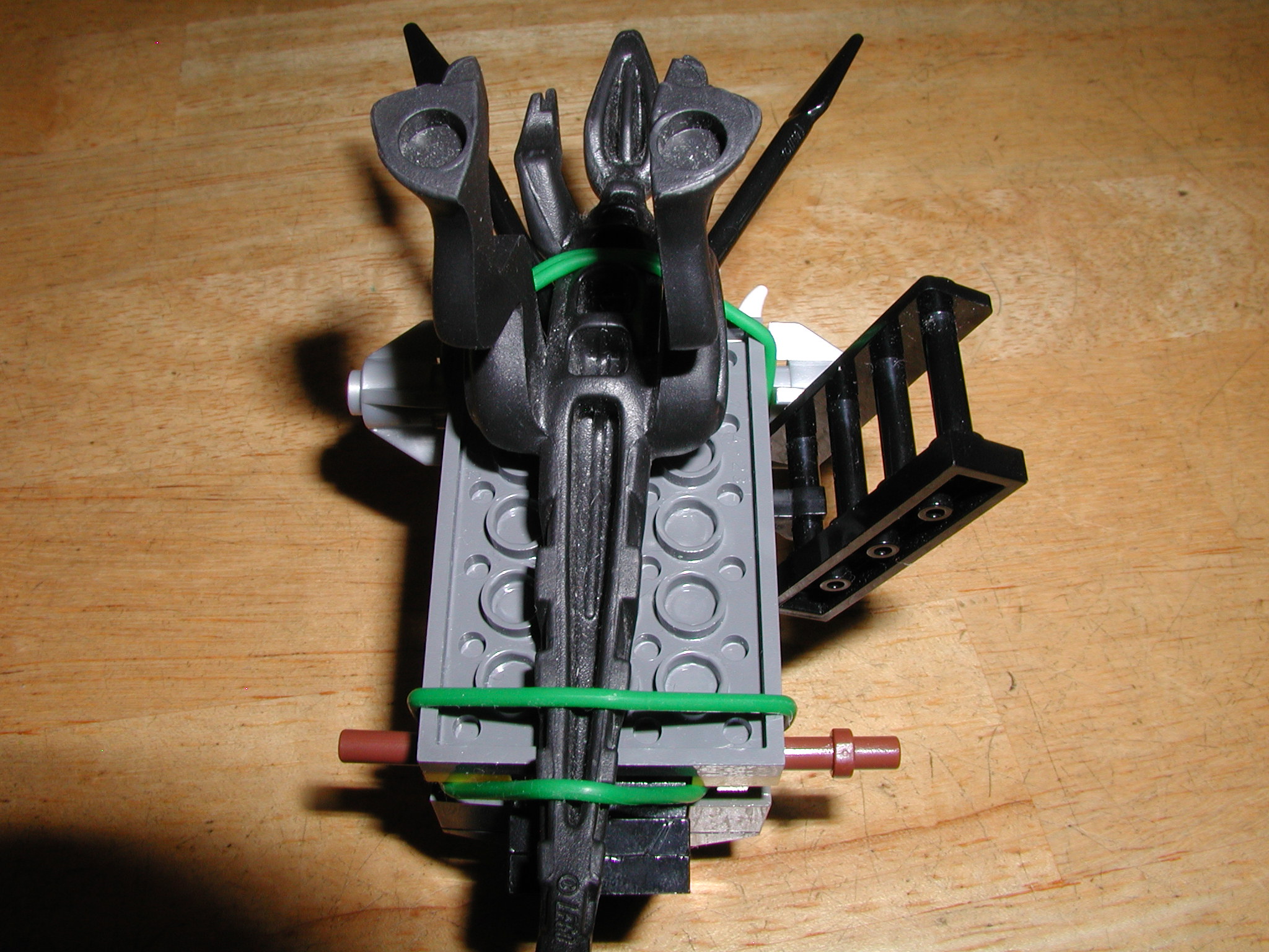 avikingsswamplizard_018.jpg
