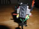 avikingsswamplizard_011.jpg