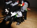 avikingsswamplizard_013.jpg