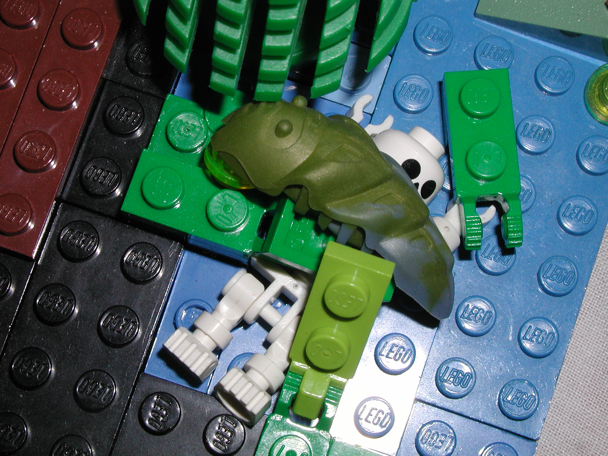 aaaswamp_020.jpg