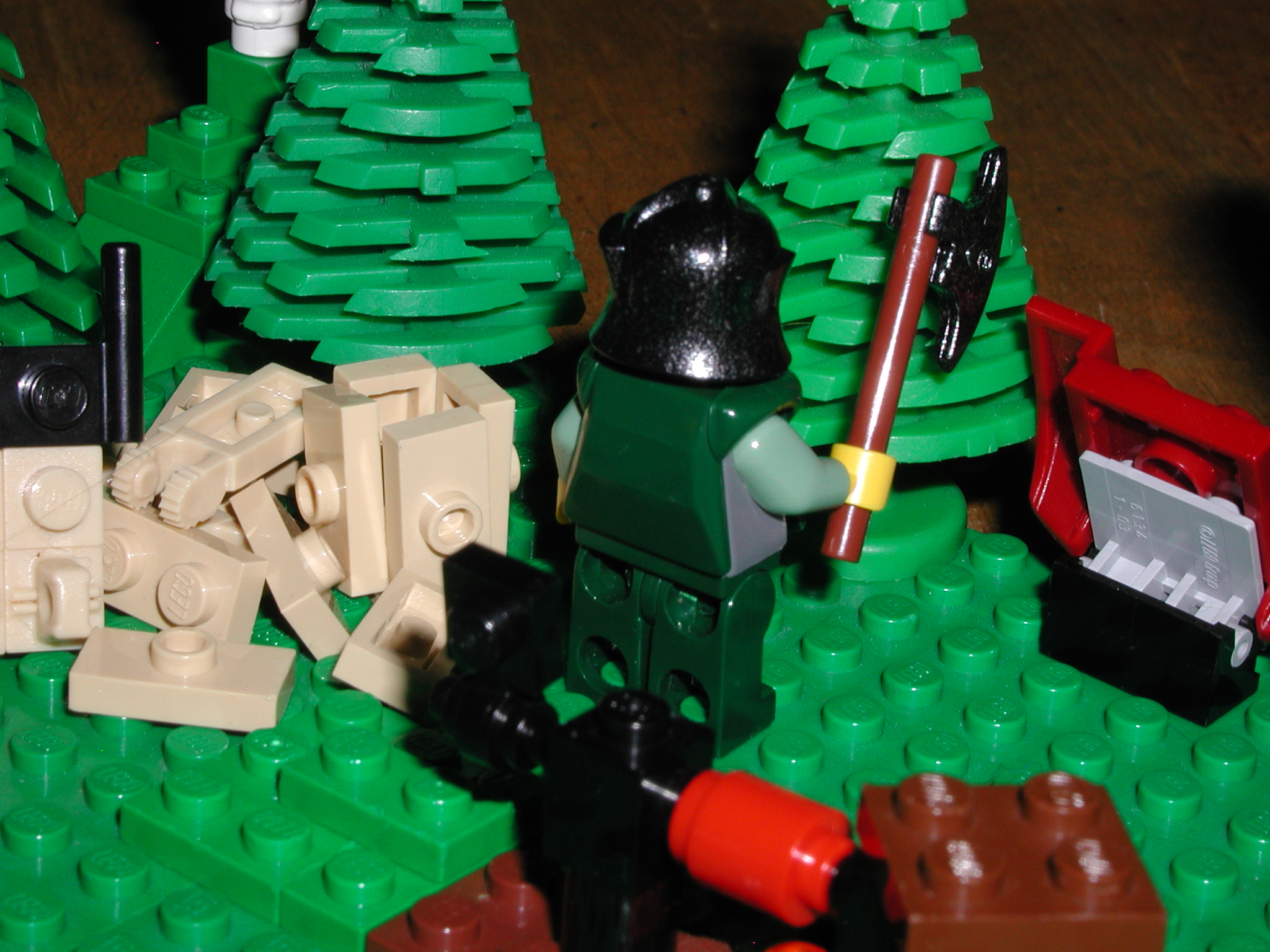 viking_settlement_015.jpg