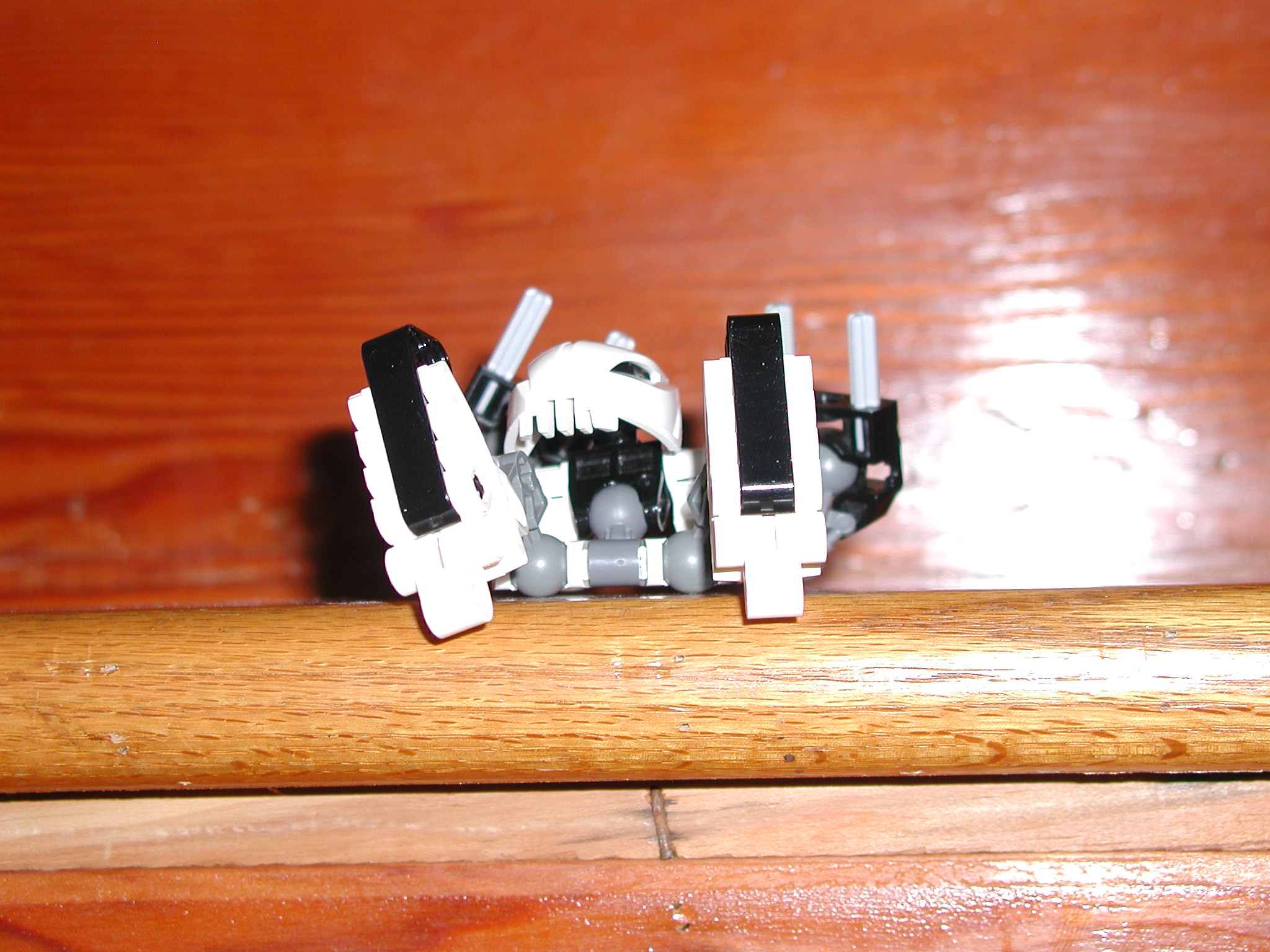 bzp-mocs_020.jpg