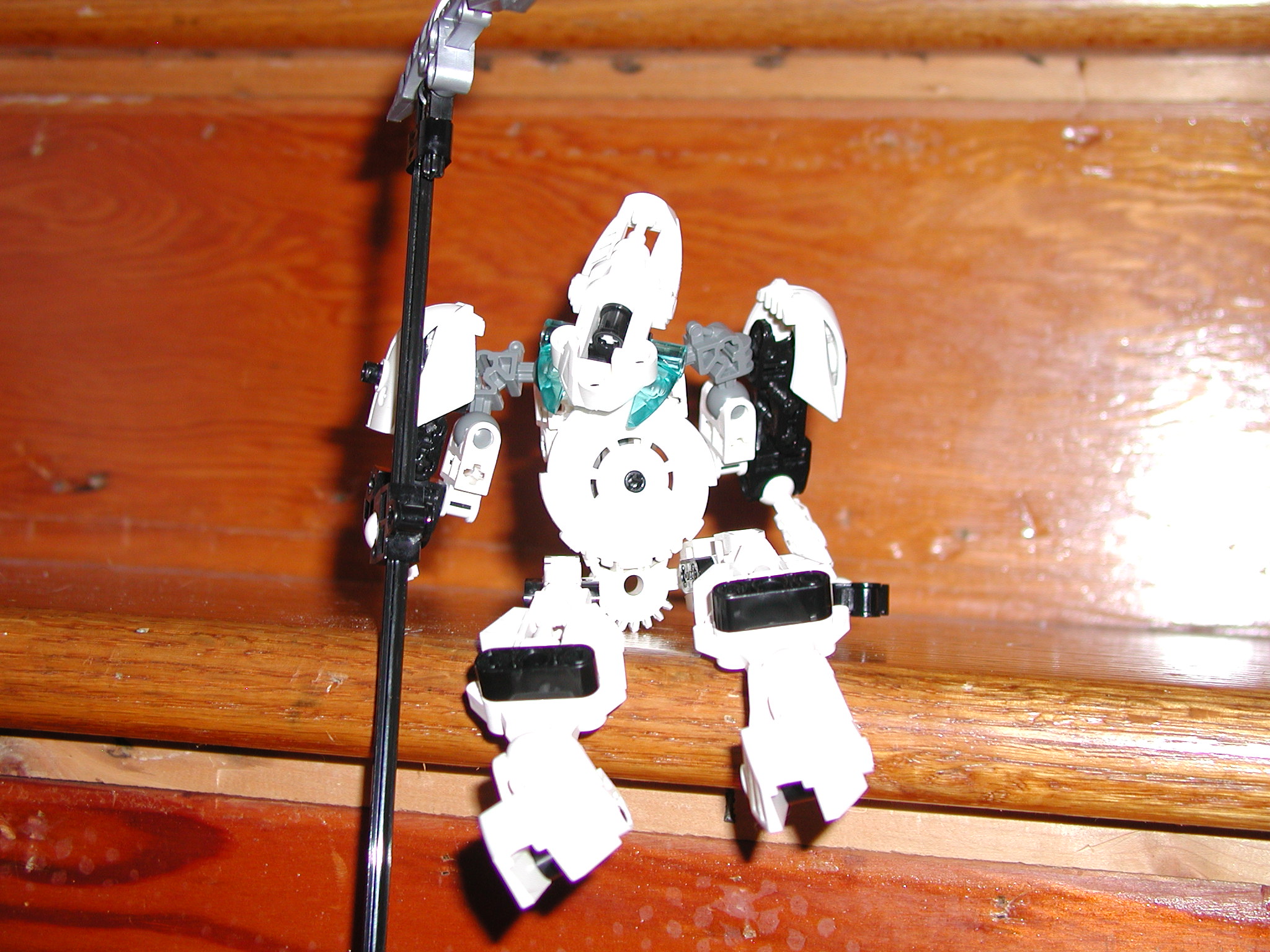 bzp-mocs_046.jpg