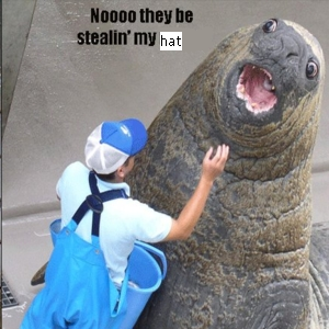 has.bmp