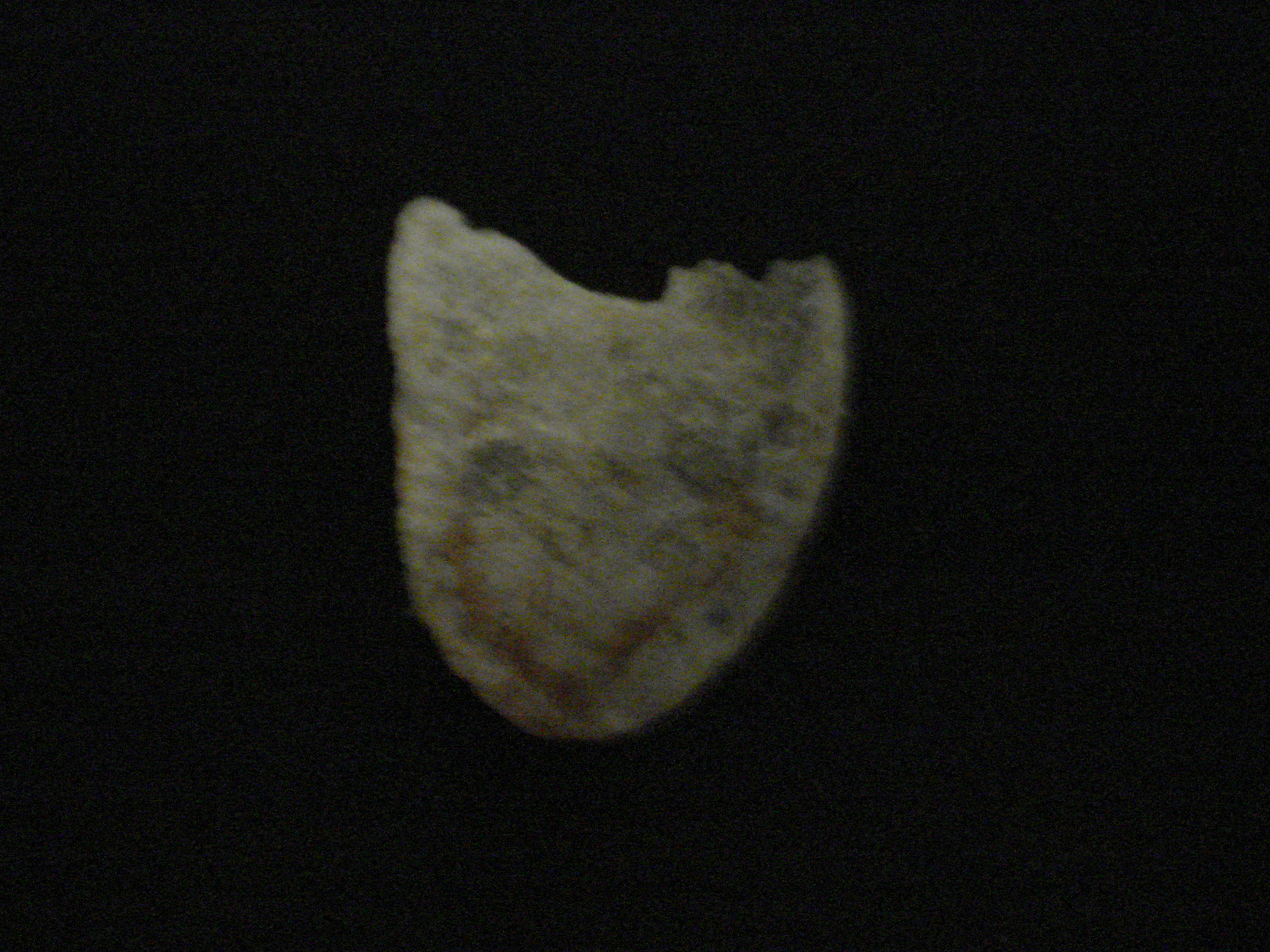 jokerchip_006.jpg