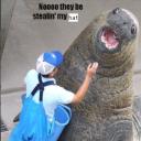 has.bmp