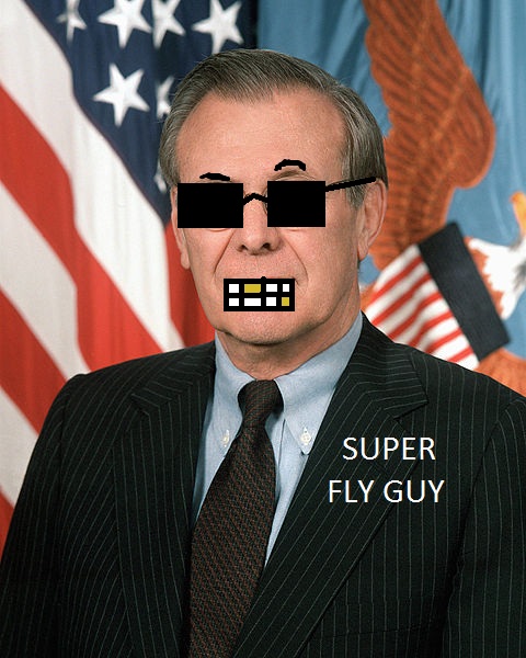 480px-rumsfeld1.jpg