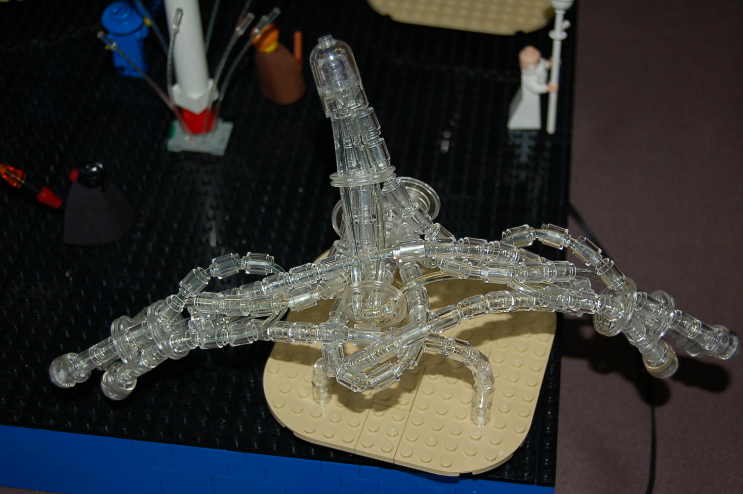 dsc_0153.jpg