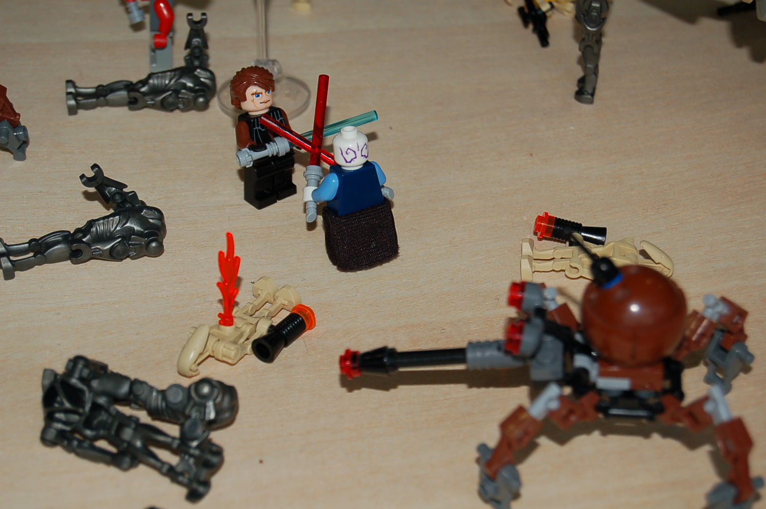 dsc_0173.jpg